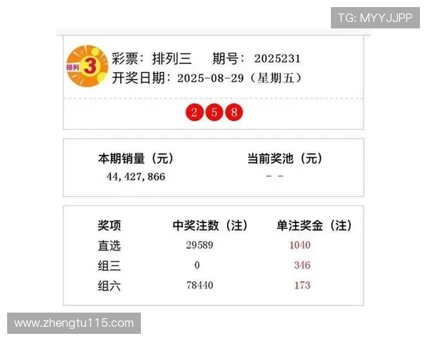 第232期开奖结果揭晓，幸运号码震撼公布！